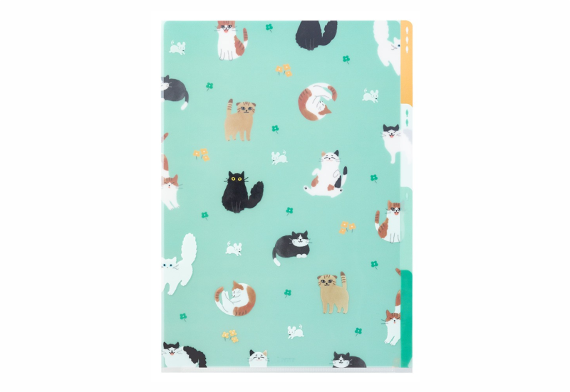 folder koty.png