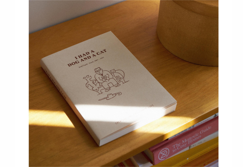 trolls paper okładka i had a dog and a cat 3.png