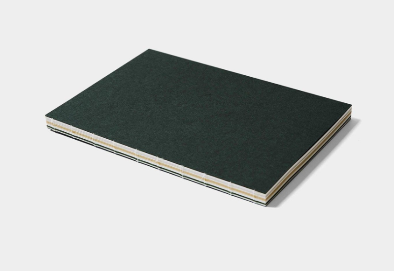 trolls paper caprice note dark green 2.png
