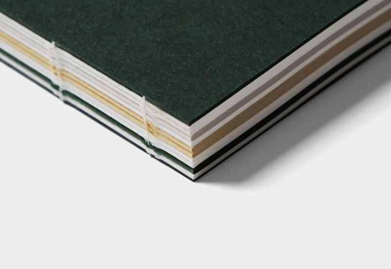trolls paper caprice note dark green 4.png