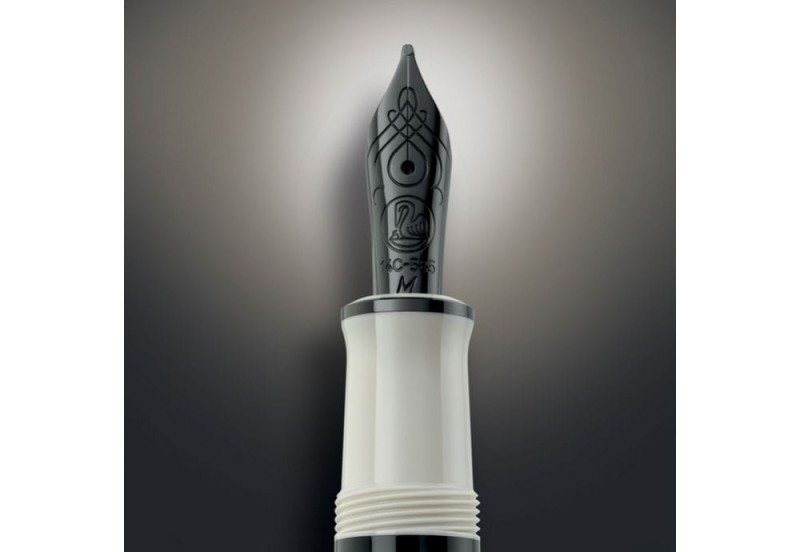 Pelikan Warm Grey Souveran 670 (4).jpg
