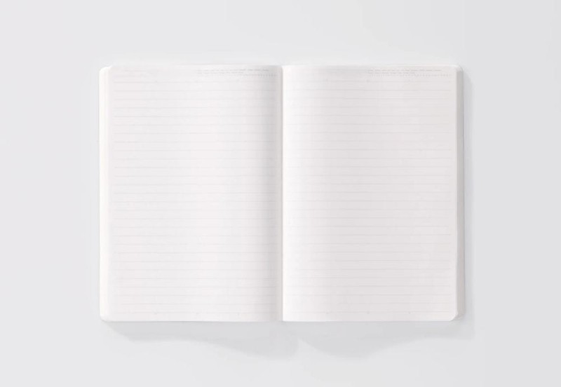 NOTEKA STALOGY notatnik a5 365 day lined (8).jpg