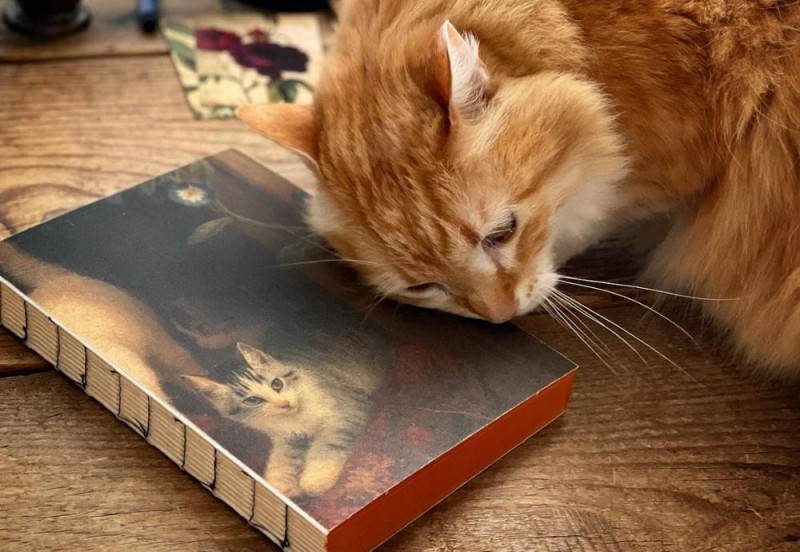 Slow Design Libri Muti Canvas Cat Kot NOTEKA.jpg