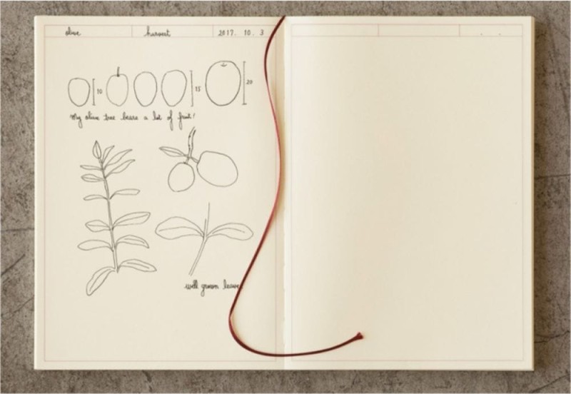 Midori Notatnik MD Paper Journal do szkicu A5 Frame.jpg