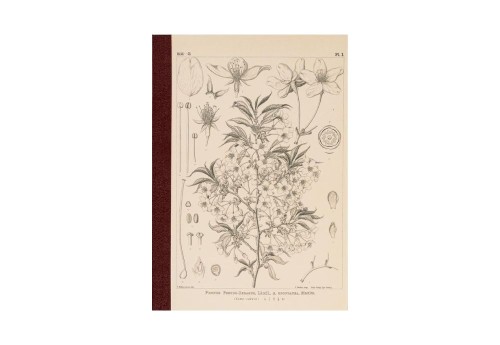 Hobonichi Techo Tomitaro Makino: Hobonichi Graph Notebook A5 - Yamazakura - Notatnik w kratkę 