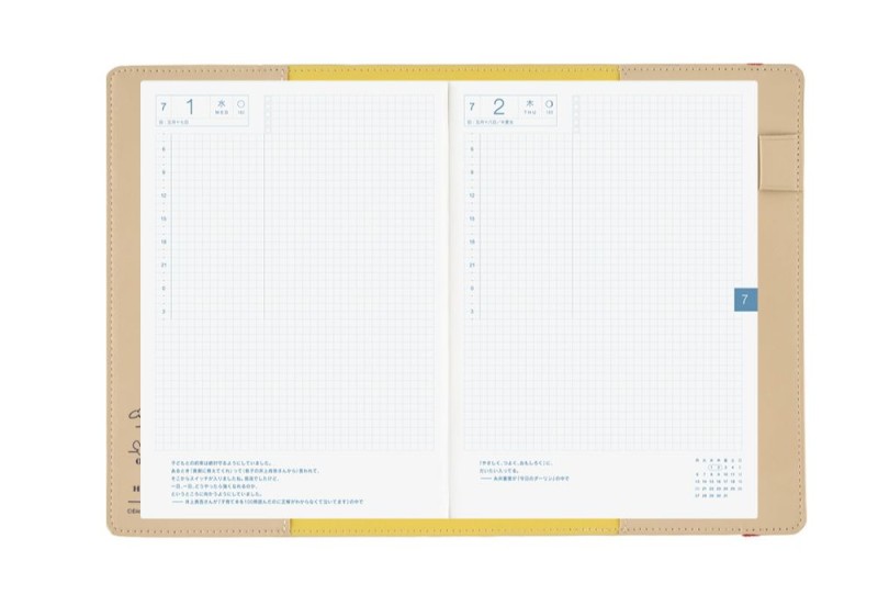 Hobonichi Okładka one piece magazine_ End of Luffy’s Dream (Sand Beige) a5 NOTEKA (5).jpg