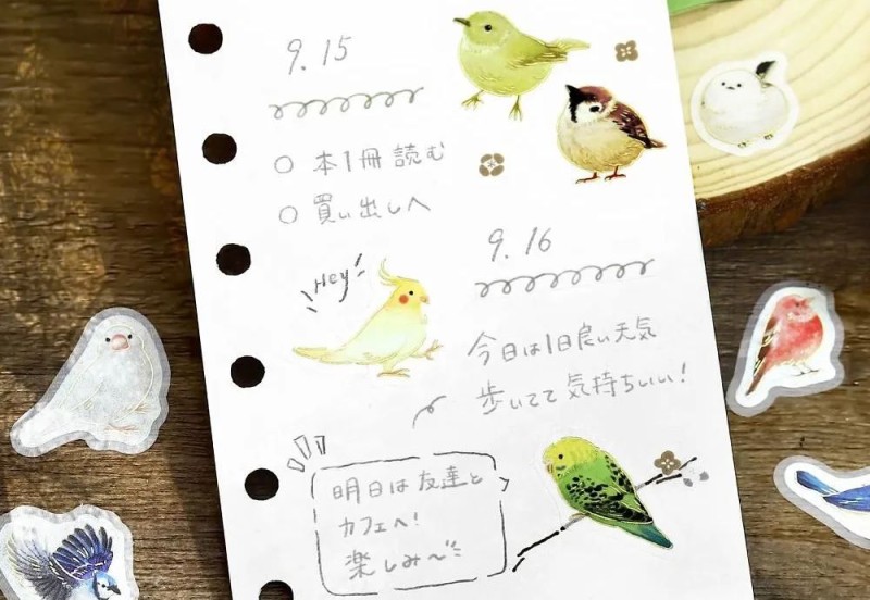 BGM Ippai Flake Stickers Naklejki