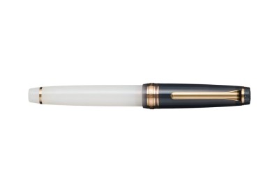 Pióro wieczne Sailor Pro Gear Dried Flowers 2 NOTEKA (6).jpg