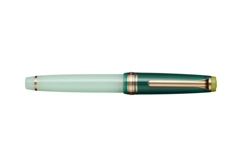 Pióro wieczne Sailor Pro Gear Dried Flowers 2 NOTEKA (9).jpg