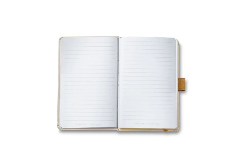 Sheaffer 100 champagne gold Emily in Paris zestaw prezentowy z notesem NOTEKA (12).jpg