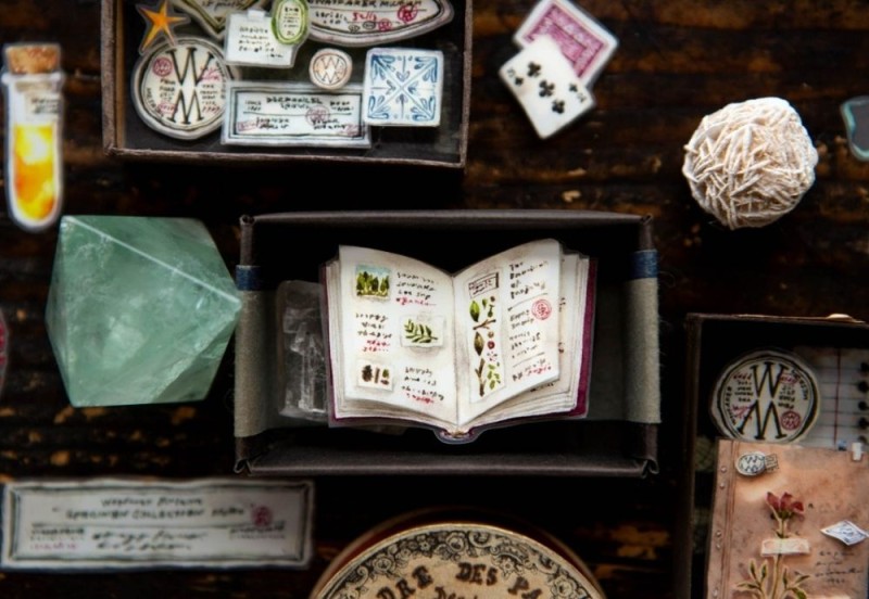 Desk of Botanist PET Tape (5).jpg