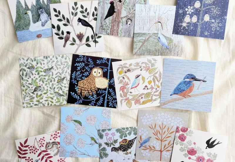 4legs letter paper wild birds NOTEKA (1).jpg