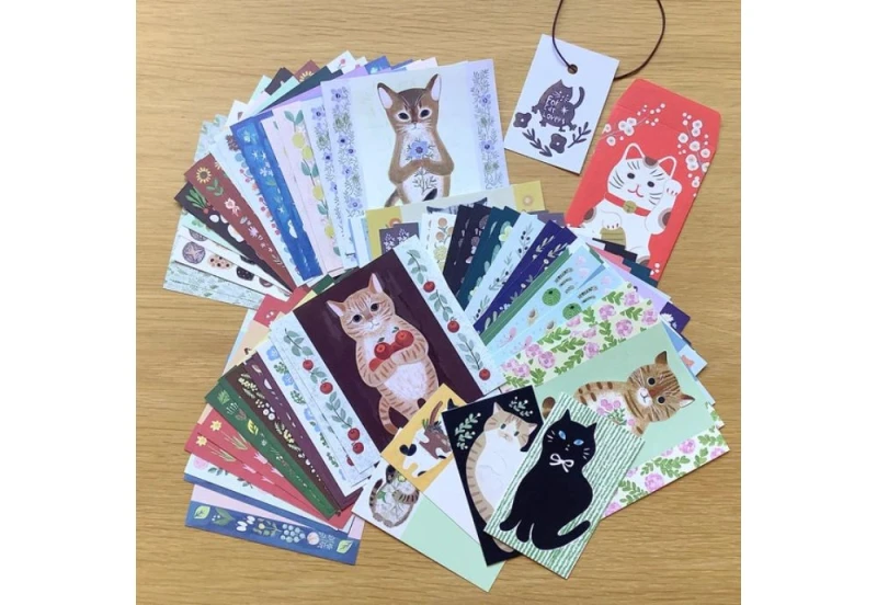 4lgs letter set zestaw kartek w teczce z kotami NOTEKA (5).jpg