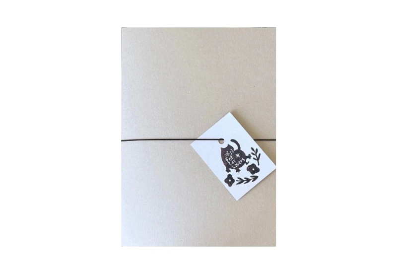 4legs letter set zestaw kartek w teczce z kotami NOTEKA.jpg
