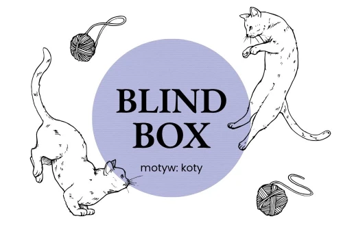 NOTEKA Zestaw BLIND BOX #3 - motyw: koty